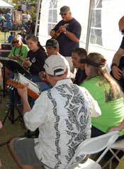 picture of ukulele players