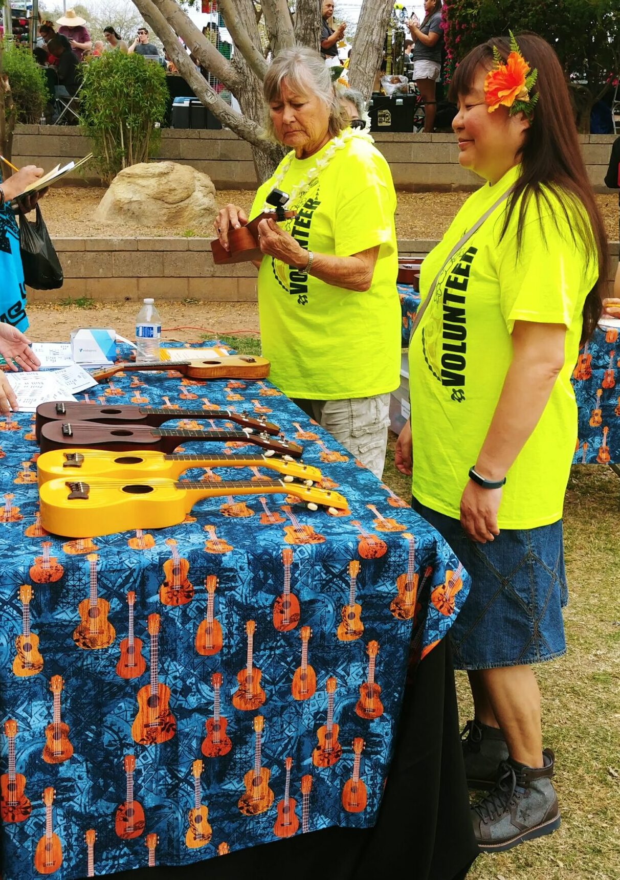 Volunteer